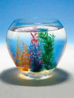 Goki Wundermuschel 4er-Set, Ø 4 Cm -Goki Verkaufsgeschäft 28995942 03