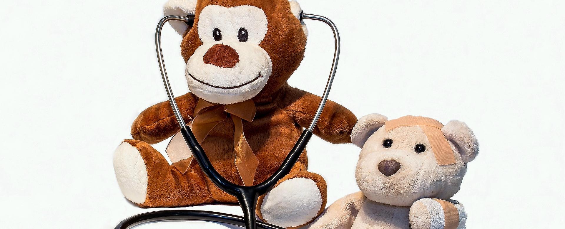 Goki Verkaufsgeschäft 7 Goki Verkaufsgeschäft -Goki Verkaufsgeschäft teddy bears 1936200 1920